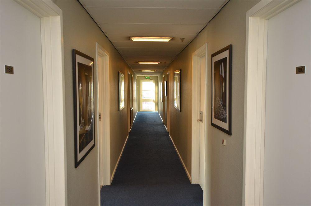 הורסנס Hotel Danica מראה חיצוני תמונה